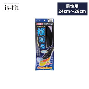 is-fitj ɒʋCC[@M098-8200@jp 24.0`28.0cm@C̃C\[@CYtBbg