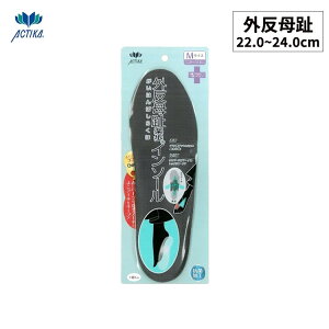 m䂤pPbgnACTIKA@OyC\[@NO.140@MTCY 22`24cm@Ռz@C̃C\[@rWlXV[Y@Xj[J[