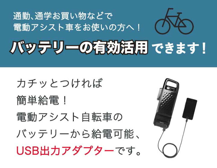 楽天市場】当店限定エントリーポイント3倍+100円クーポン USB出力  