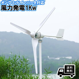 RX-1000H3 風力発電　家庭用　業務用　1000W 小型風力タービン発電機フィットホームライトやボート