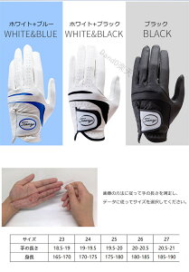 StO[u Y St rv {v CNn PU  E Ўp St O[u V[vXL Obv  StK jp SV^ ʋC _炩 ~ S