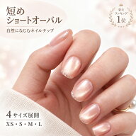 【期間限定最大300円クーポン】ネイルチップ ショート ネイルシール ジェルネイルチップ マグネット ネイ…