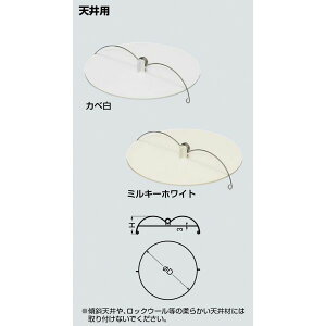 �u�����N�v���[�g DLBP-150 ��170 �J���[:�J�x��:�K�����a��50�`��150