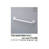 TS134GY6S#NW1 Iタイプ(前出寸法65mm) 取付心L(mm):600 :