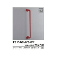 Iタイプ(前出寸法120mm) TS134GMY8#NW1 取付心L(mm):800 :