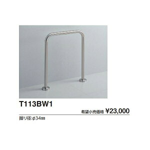a֊p肷 T113BW1 :