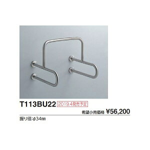 ֊p肷 T113BU22 :