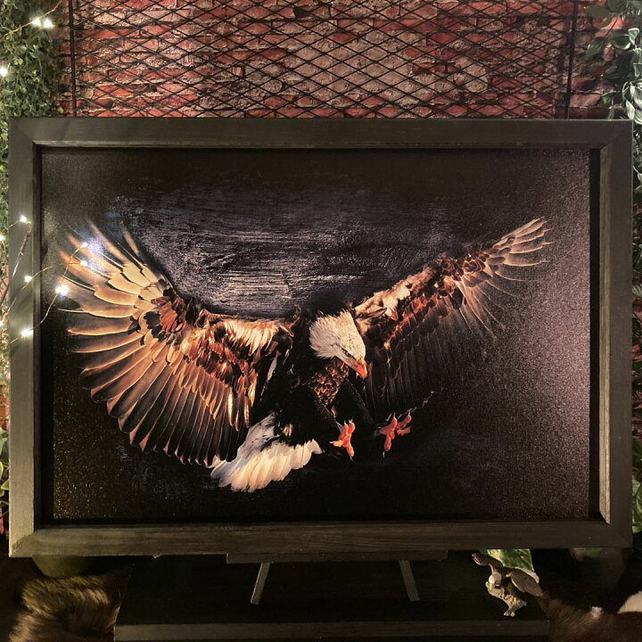楽天市場】｢AMERICAN EAGLE ART｣キャンバス製ウッドアートパネル(額 