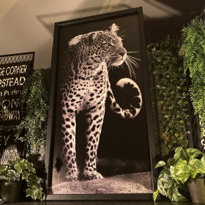 LEOPARD (^)LoX jOA[gpl(z)^TCY jOCeA AJre[W A[gpl C_XgACeA AJWG K[WCeA 