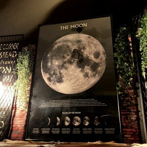 THE MOON^A[g|X^[(z) JtFCeA AJre[W oX[TC Universe jOCeA AJ_ industrial Space Cosmos X܏Y Xܑ NEWYORK 