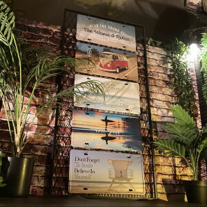 IRON WALL FENCEC݃X^C uLŔ5_Zbg AJre[W AJtFX AJ_Ci[ K[WCeA JtHjAtFX X܏Y Xܑ