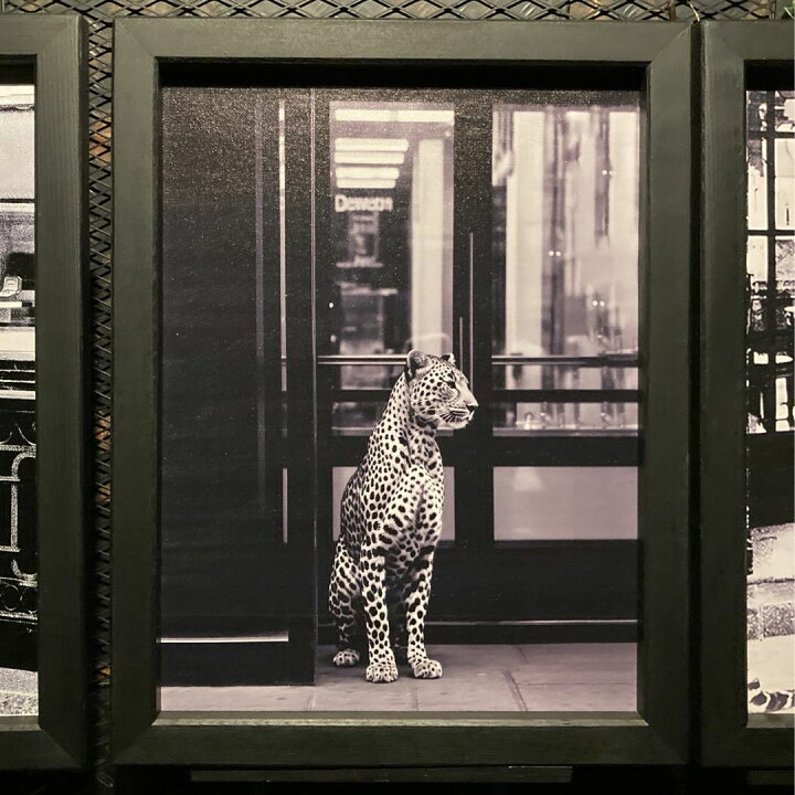 楽天市場】大特価3枚組｢豹 LEOPARD」キャンバス製 モノクロモダン 