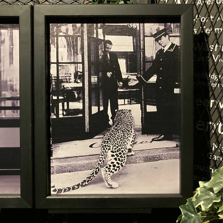 楽天市場】大特価3枚組｢豹 LEOPARD」キャンバス製 モノクロモダン 