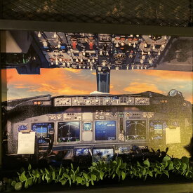 ｢BOEING 747 コックピット｣!! キャンバス製 高級アートパネル(額入り) 男前インテリア アメリカンビンテージ カフェインテリア NEWYORK インダストリアル ニューヨークスタイル ブルックリン バスロールサイン インダストリアル 航空機 DandyLifeSpace