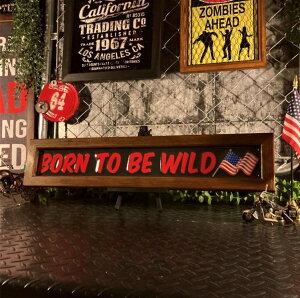 BORN TO BE WILD!! ^TC!! A[gpl(z)!! jOCeA AJre[W JtFCeA C_XgA ^TC AJJWA eBv[g G