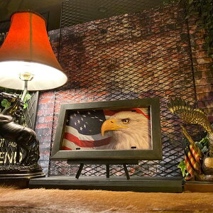 AMERICAN EAGLE!! ^v[gEbhA[gpl(zt)!! ubNX^C jOCeA AJre[W JtFCeA AJJg[ I[hAJ 