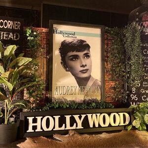 AUDREY HEPBURNType.B!! LoX A[gpl!! ubNCeA jOCeA JtFCeA [sANVbN I[h[wbvo[ AudreyHepburn AJA