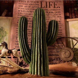 !! CACTUS(T{e)tFCNO[IuWFType.B AJre[W lCeBuAJ AJJWA EFX^CeA T{e {w~ACeA tFCN