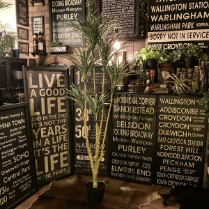 145cm!! E!! lHϗtآbJ^tFCNO[c[ lH ϗtA tFCNO[ tFCNc[ nCACeA K[fjO AJr