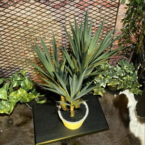  !! lHϗtآbJtFCNO[c[Type.B lH ϗtA tFCNO[ tFCNc[ nCACeA K[fjO AJre[W C