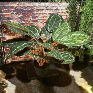   lHϗtآJeAEVCX^[tFCNO[c[ JtFCeA ϗtA tFCNO[ tFCNc[ COhK[f ueBbVK