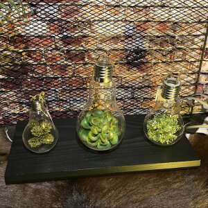 3ZbgKX d^nMOeE(tFCNO[t) eE AJre[W AJJWA tFCNO[ GXjbNCeA MANCAVE {w