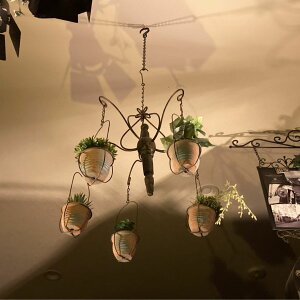 CHANDELIER GARDENeRb^ 5AtFCNO[v^[ AJre[W lCeBuAJ AJJWA EFX^CeA AJJg[ tFCNO