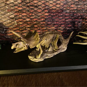 ANTIQUE ART!! Sgi͌^IuWFTRICERATOPS!! ubNX^C jOCeA AJre[W JtFCeA IuWF AJAeB[N _Ci\[ Xe
