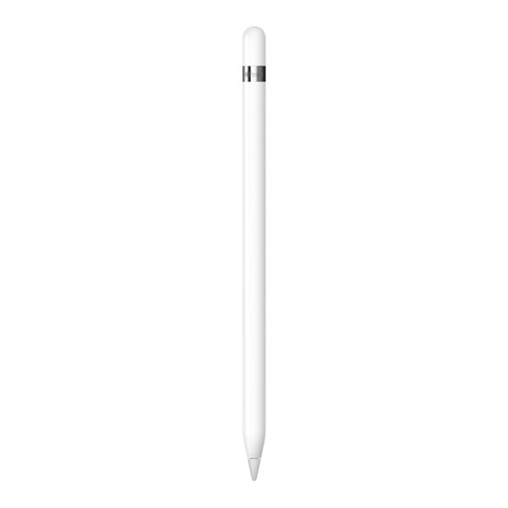 楽天市場】Apple Pencil 第1世代 MQLY3J/A USB-Cアダプタ付 メール便 