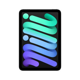 [新品未開封] iPad mini 8.3インチ Wi-Fi 256GB 2024年秋モデル MXNA3J/A スペースグレイ 8.3インチ 2024年　4549995526523