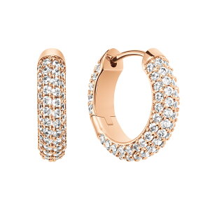 _MAX50%OFFZ[^ _2Nۏ؁^ Daniel Wellington _jGEFg DW sAX Pave EarRings   Vo[ S[h i GKg lC v[g Mtg WG[ fB[X A