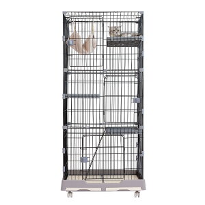 y撅N[|2500~OFFIIzLP[W 3i LbgP[W L P[W 2i ^ LX^[t ړ֗  Eh~  LnEX nbNt 82cm ybgpi 