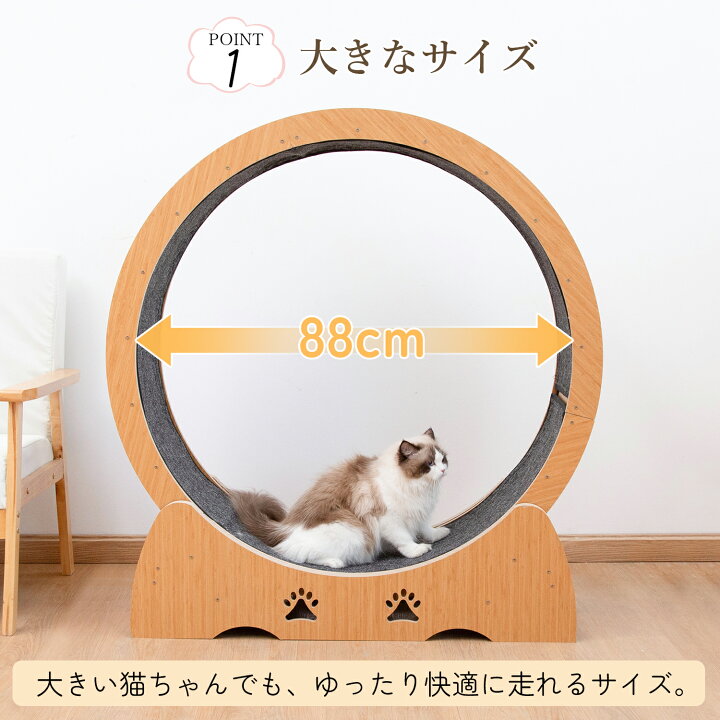 楽天市場】【先着22%OFFクーポン！・7/26まで】＼楽天1位／キャット 