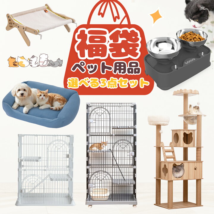 楽天市場】2026新春福袋 猫 福袋 3点セット ペットグッズ キャット 