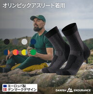 【楽天限定価格】【クーポン配布中】DANISH ENDURANCE ハイキングライトソックス　1組　軽量　登山靴下 …