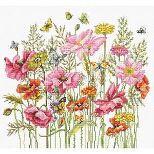 Luca-S NXXeb`hJLbg [JX yAugust Bouquetz񂹏i/[30`90x