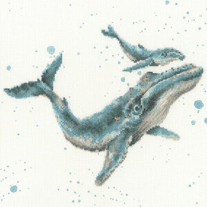 Bothy ThreadsNXXeb` hJLbg y }u[z CMX