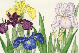 Bothy Threadsクロスステッチ 刺繍キット 【Iris Blooms / 菖蒲の花】 イギリス　XBD10　中級者向き　アイーダ