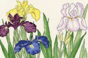 Bothy ThreadsNXXeb` hJLbg yIris Blooms / Ҋ̉ԁz CMX@XBD10@Ҍ@AC[_