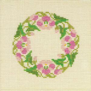 t NXXeb` hJLbg yCONVOLVULACEA z i f}[N AイLbg