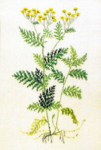 t NXXeb` hJLbg yMMNz ̉ԁ@n[uƖ򑐁@f}[N AイLbg