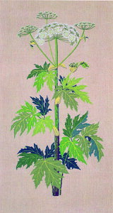 t NXXeb` hJLbg yHOGWEEDiniEhjz ̉ԁ@f}[N AイLbg