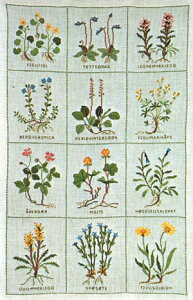 t NXXeb` hJLbg ỷԁirock plantjz ̉ԁ@f}[N AイLbg