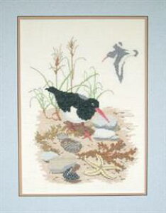 t NXXeb` hJLbg yo[hzƓ@f}[N AイLbg