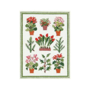 t NXXeb` hJLbg yCHRISTMAS PLANTSz NX}X f}[N AイLbg