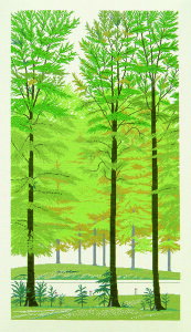 t NXXeb` hJLbg yui̐XzԂƎ؁@f}[N AイLbg