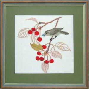 t NXXeb` hJLbg yGARDEN WARBLERzƓ@f}[N AイLbg