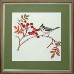 t NXXeb` hJLbg yCRESTED WARBLERzƓ@f}[N AイLbg