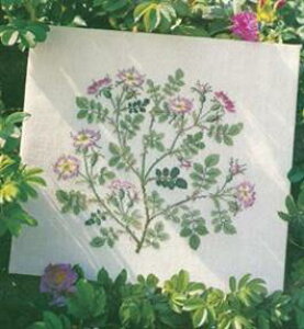 t NXXeb` hJLbg yWILD ROSEzԂƎ؁@f}[N AイLbg