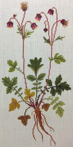 t NXXeb` hJLbg yAVENS z ̉ԁ@n[uƖ򑐁@f}[N AイLbg@҂㋉Ҍ